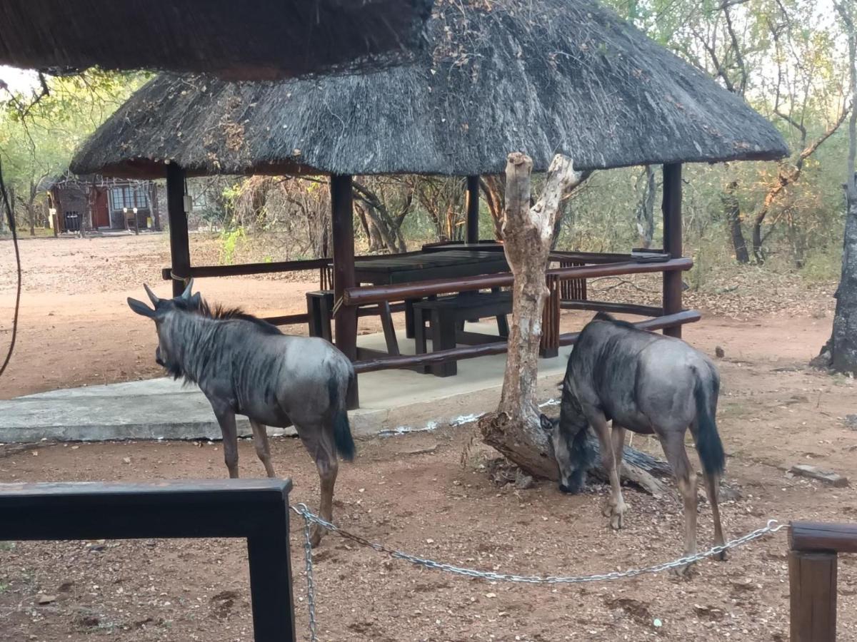 South Safari Lodge Marloth Park Extérieur photo