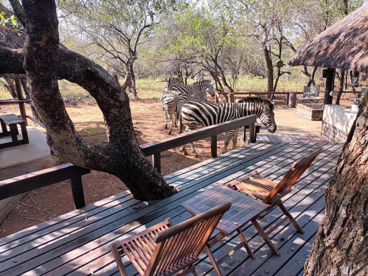 South Safari Lodge Marloth Park Extérieur photo